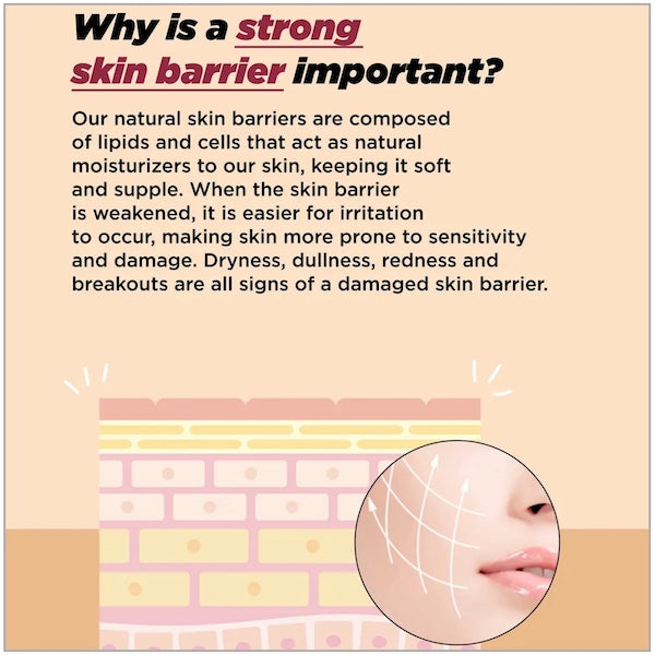 ma:nyo Bifida Biome Ampoule Toner 400ml