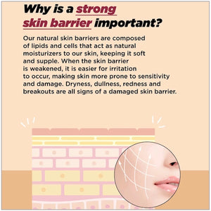 ma:nyo Bifida Biome Ampoule Toner 400ml